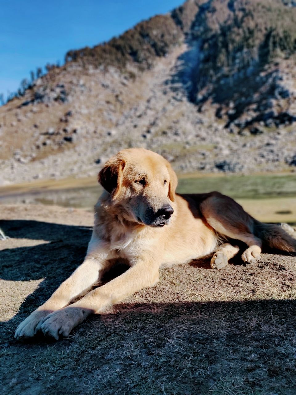 Photo of Kareri Lake Trek- The Rocky Mountain Trails by RJ NIKKHIL VERMA