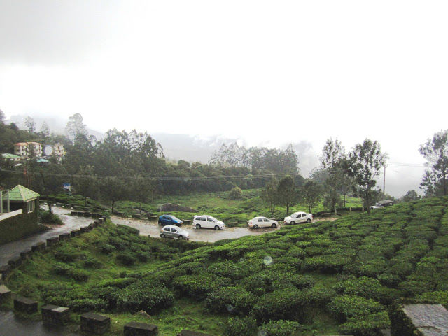 Photo of Truly God's Own Country : Munnar, Kerala 5/8 by Rajvi Bhow