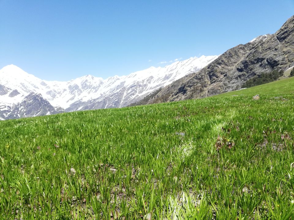 Photo of Delhi to manali trip trekking to patlsu trek by Binod singh