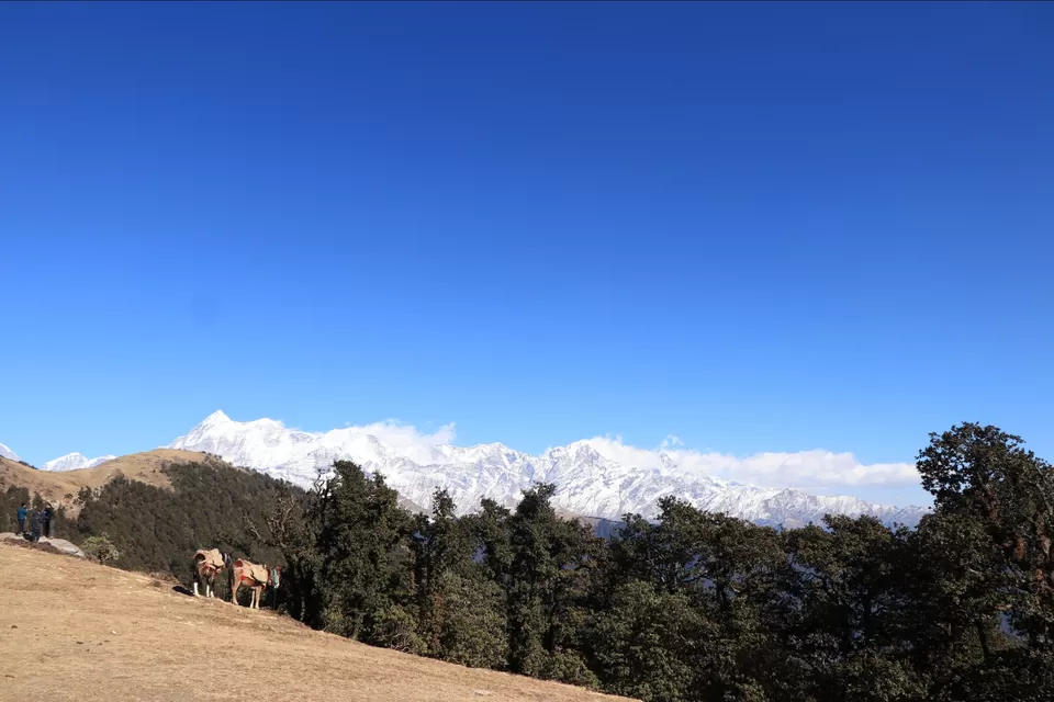 Photo of The peak well know as gods Brahma so travelling from delhi to bharmathal peak by Binod singh