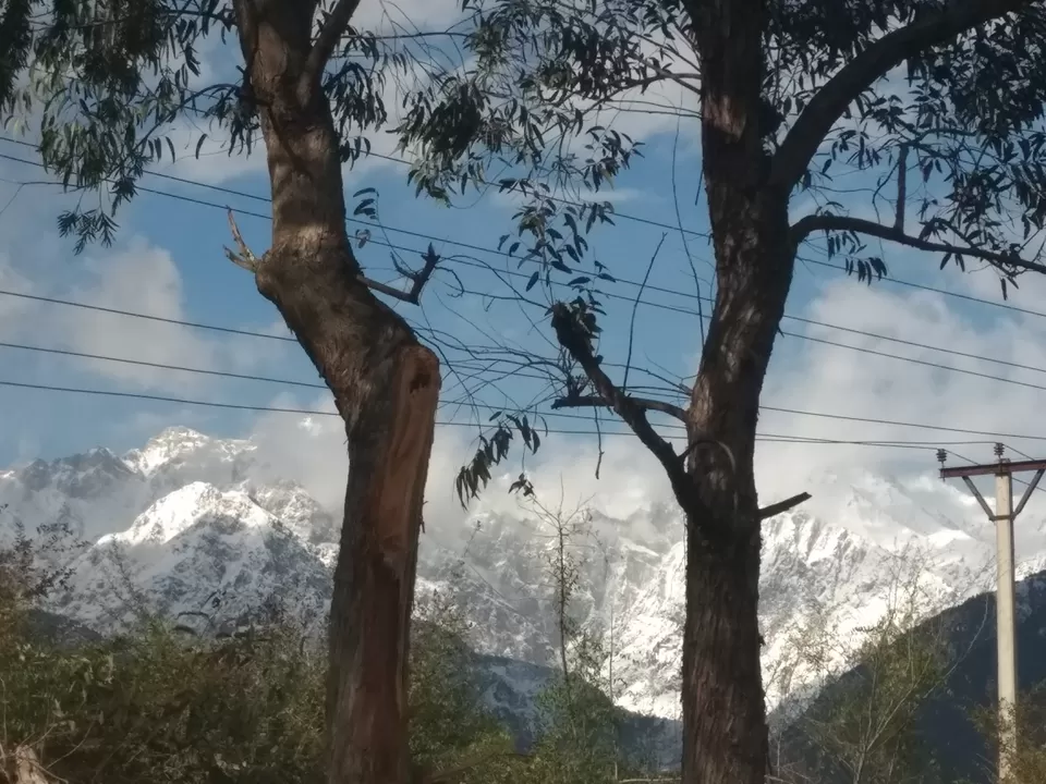 Photo of Palampur, Himachal Pradesh, India by Pari