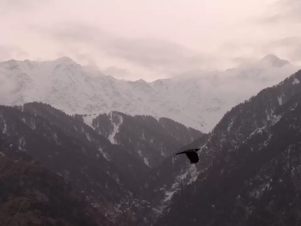 Photo of Naddi Hill Point, Naddi, Dharamshala, Himachal Pradesh, India by Pari