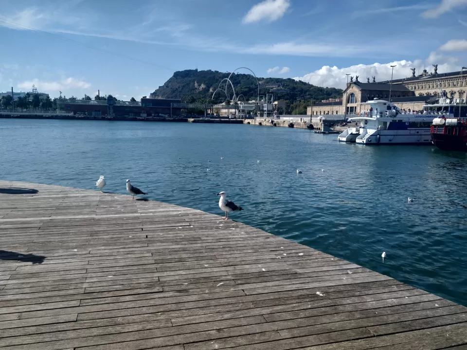 Photo of Spain by moumita chakraborty