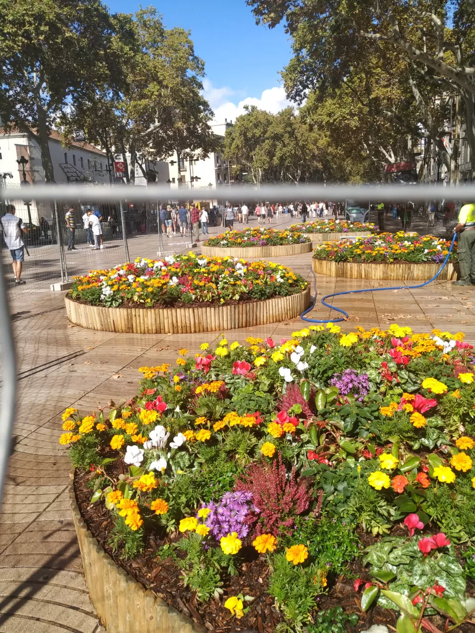 Photo of Spain by moumita chakraborty