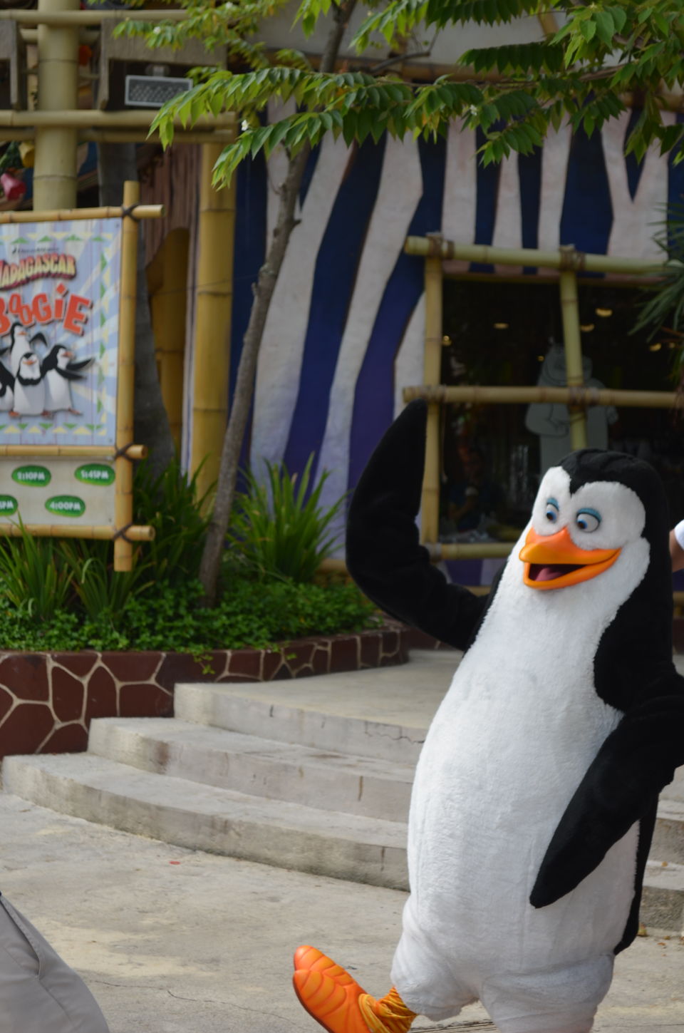 Photo of Universal Studios, Singapore: My Fairy Tale dream came alive. 46/60 by moumita chakraborty