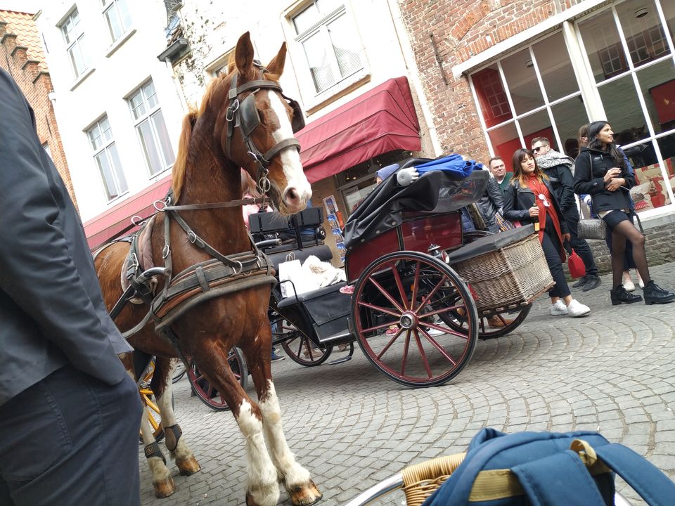 Photo of Bruges - The surprise that liberated me 15/23 by moumita chakraborty