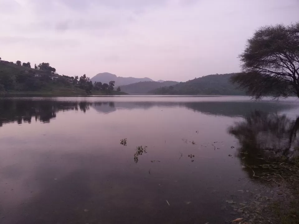 Photo of पोलो फॉरेस्ट मार्ग, Bandhana, Gujarat, India by Rupesh Kumar Jha