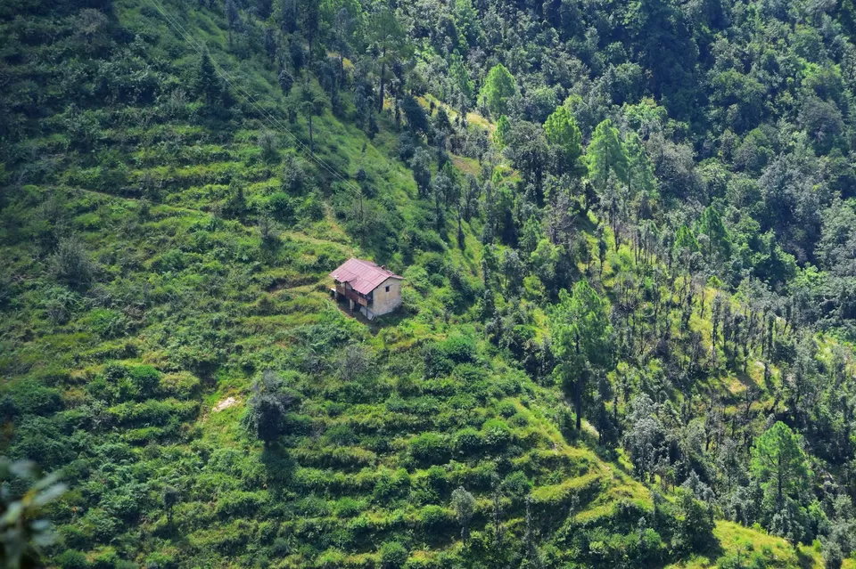 Photo of मुक्तेश्वर, Uttarakhand, India by Rupesh Kumar Jha