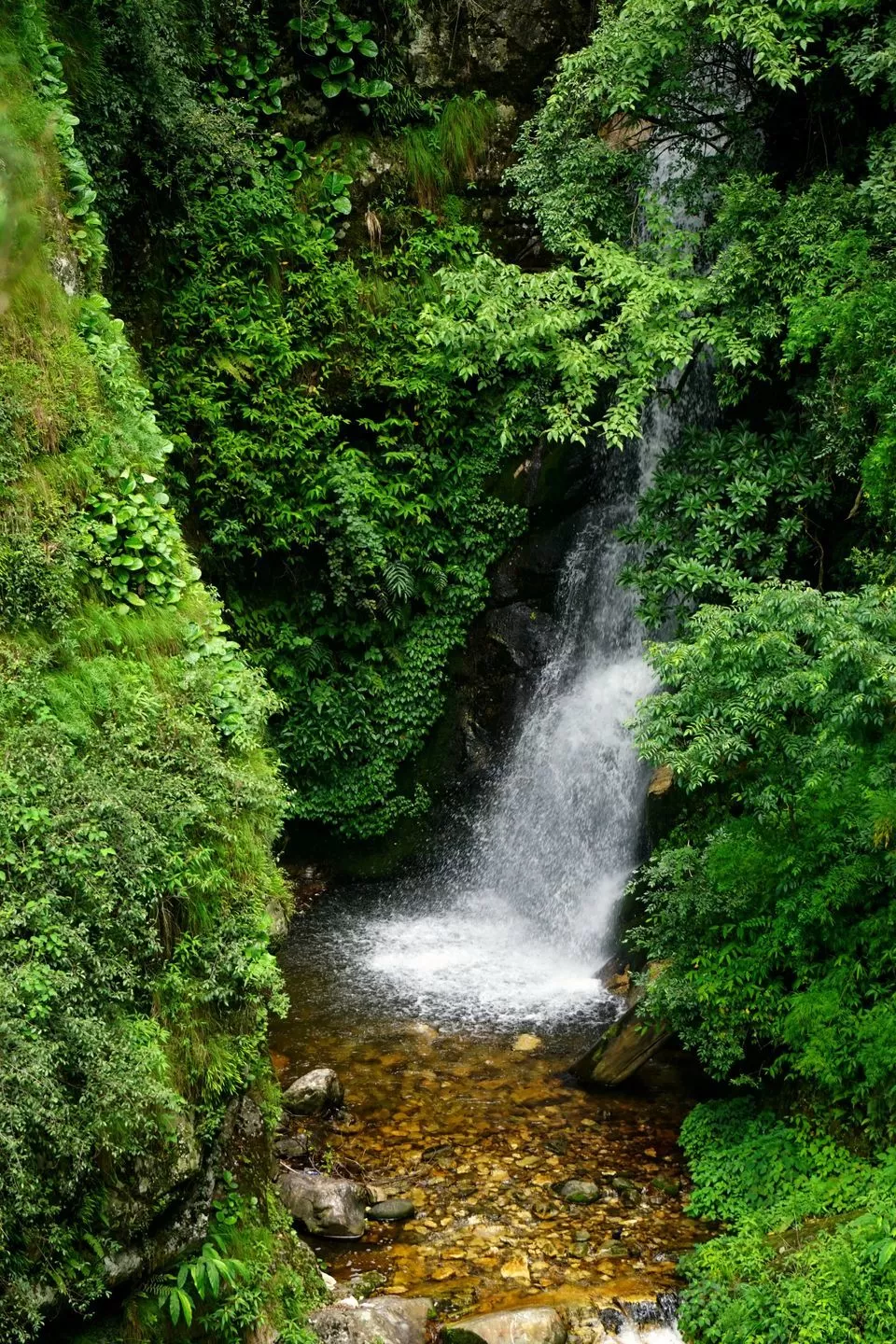 Photo of Chhoie Waterfall Tirthan Valley, Unnamed Road, Tindar, Himachal Pradesh, India by Rupesh Kumar Jha