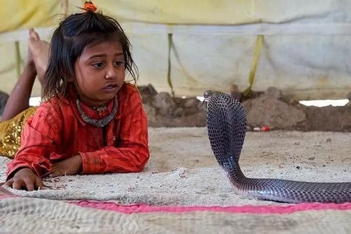 Photo of शेतफळ, Maharashtra, India by Rupesh Kumar Jha