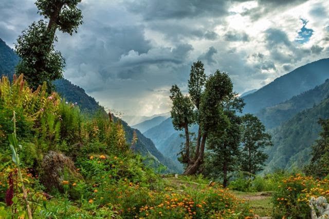Photo of पंच-केदार यात्रा: उत्तराखंड के पांच सबसे ऊंचे शिव मंदिर by Rupesh Kumar Jha