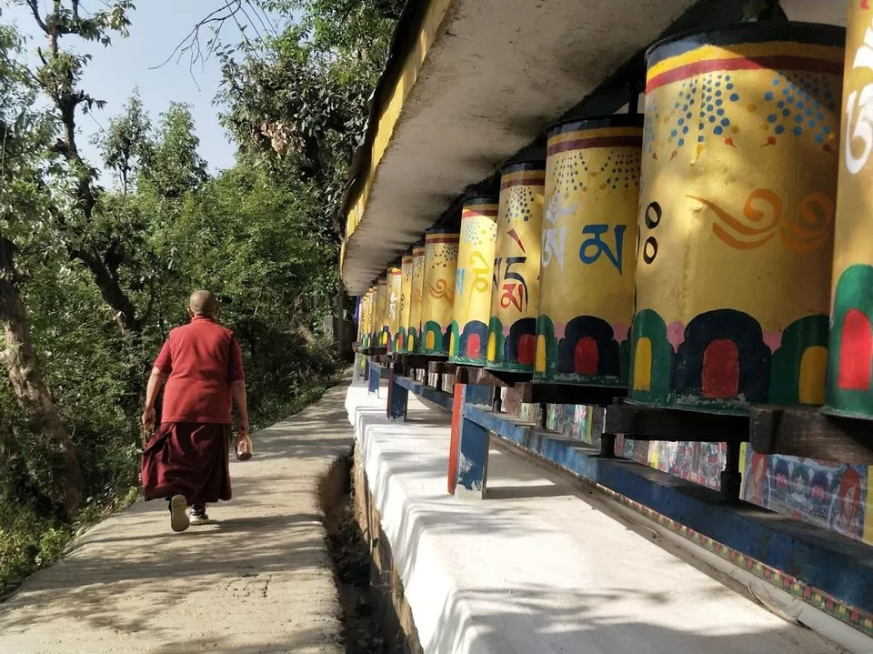 Photo of मैक्लोडगंज, Dharamshala, Himachal Pradesh, India by Rupesh Kumar Jha