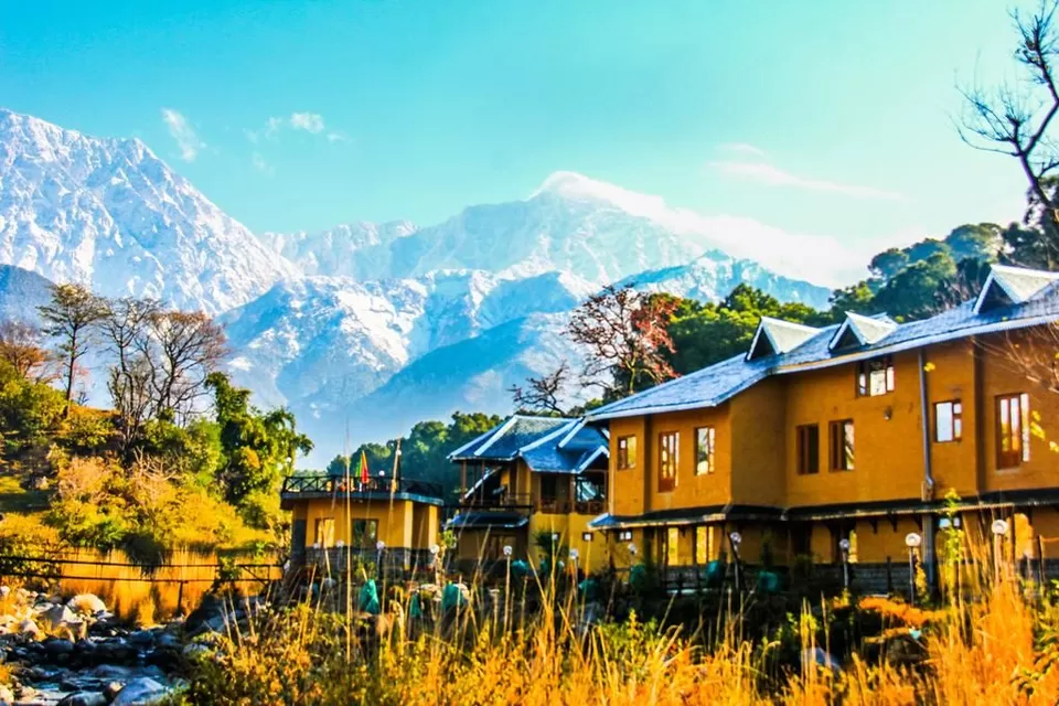 Photo of प्रकृति आले, Dharamshala, Himachal Pradesh, India by Rupesh Kumar Jha