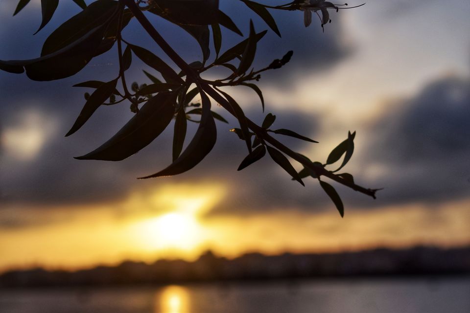 Photo of Sunrise @ BTM Lake - Wonderful Scenes! by Saikat Chowdhury