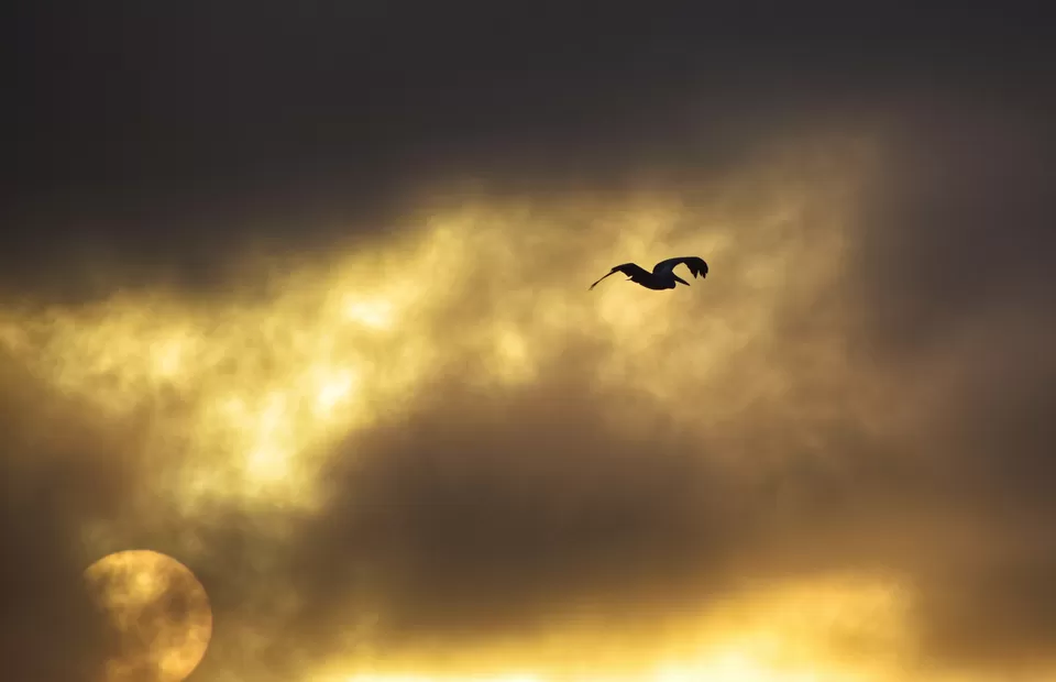 Photo of Sunrise @ BTM Lake - Wonderful Scenes! by Saikat Chowdhury