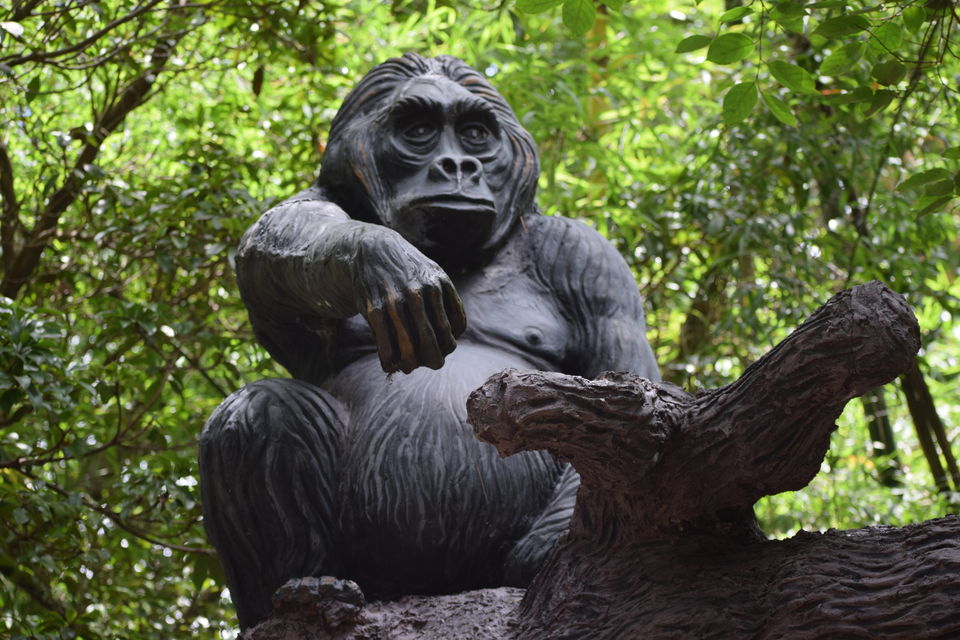 Photo of Mysore Zoo, Zoo Main Road, Indira Nagar, Ittige Gudu, Mysuru, Karnataka, India by Saikat Chowdhury