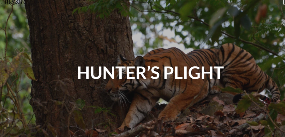 Photo of Hunter's Plight 1/1 by Syed Ali Husain