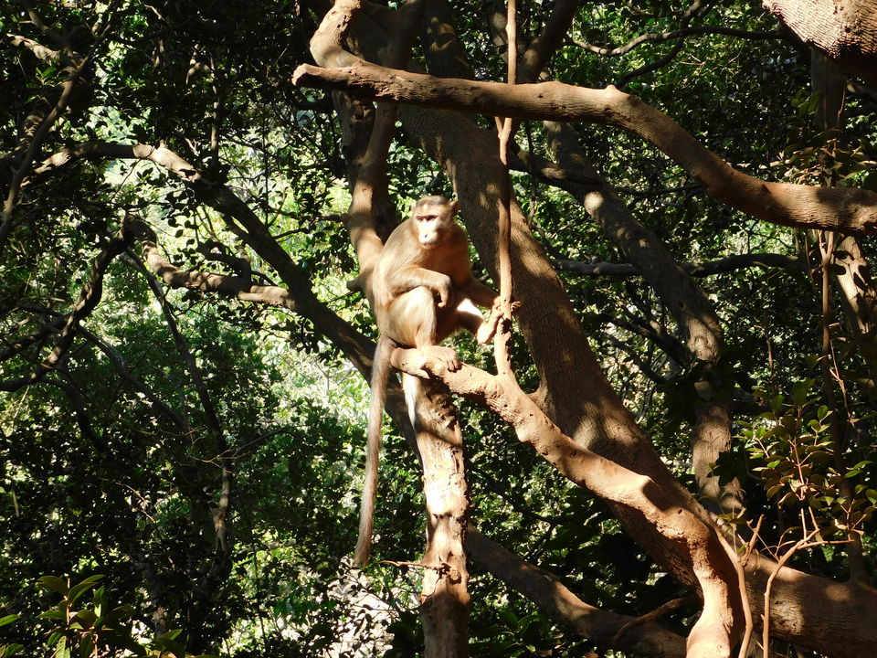 Photo of Matheran day trip 4/15 by The ShotStory