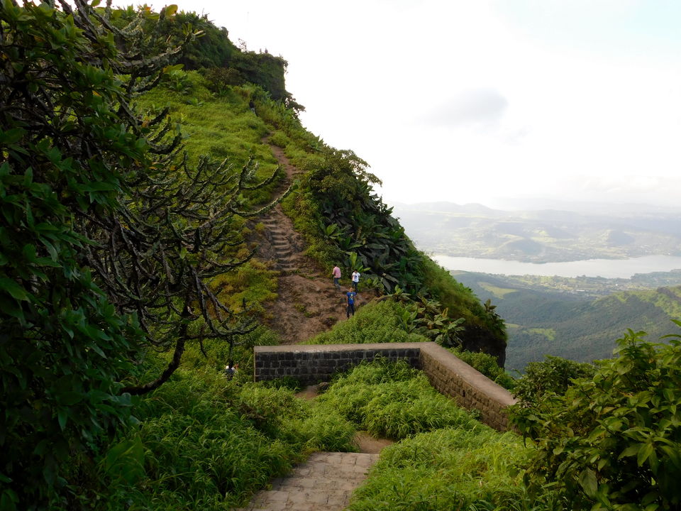 Photo of Explore the Lion's Fort - Half Day Vacation by The ShotStory