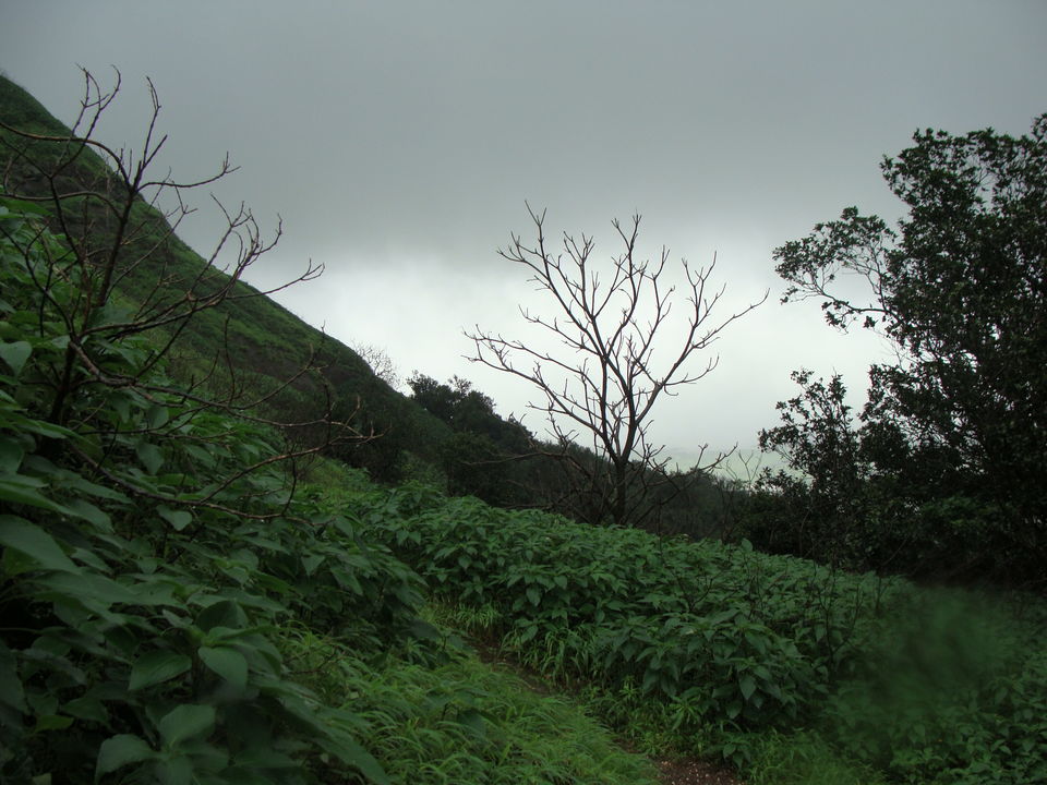Photo of The Unforgettable Journey On Highway No. 222 to HarishChandragad by Shazy Buoy's Travel Diaries