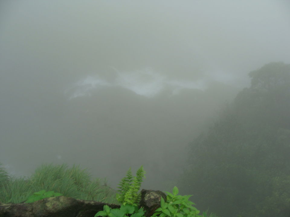 Photo of The Unforgettable Journey On Highway No. 222 to HarishChandragad by Shazy Buoy's Travel Diaries