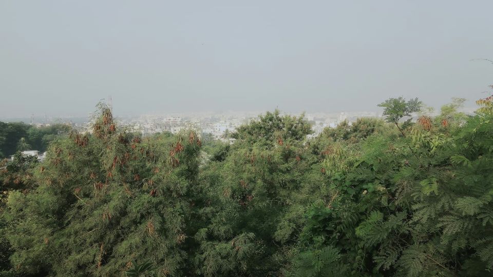 Photo of "लिली परिक्रमा" by Janak Modh
