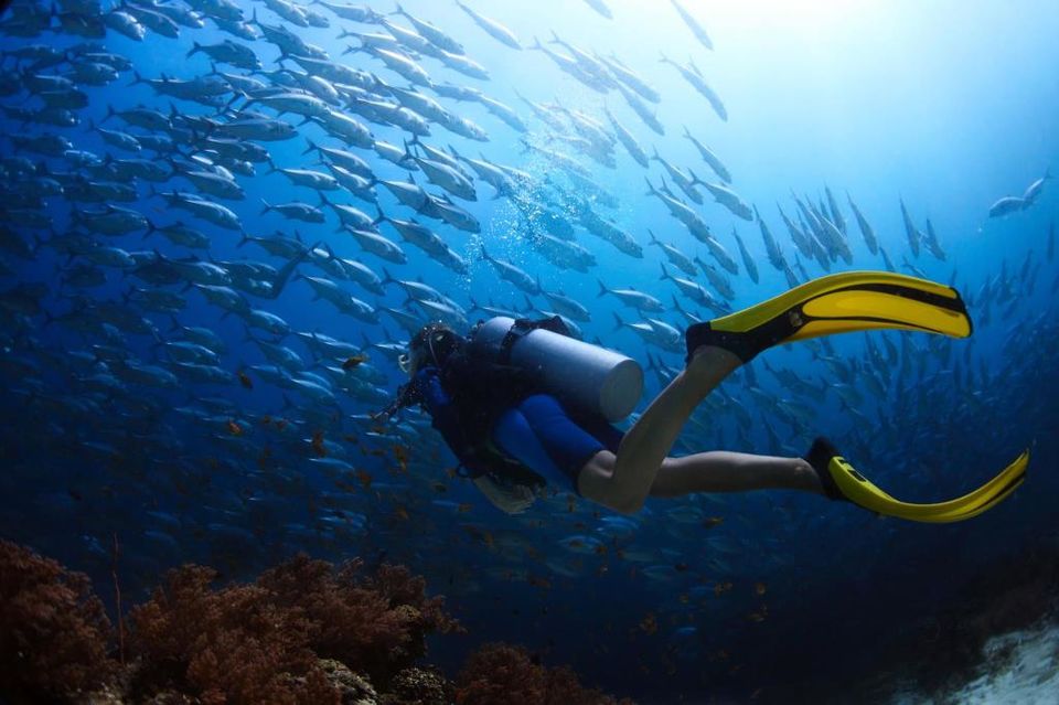 Photo of A Truly Maldivian Experience at Furaveri Island Resort and Spa Maldives by Charvi and Jaymine