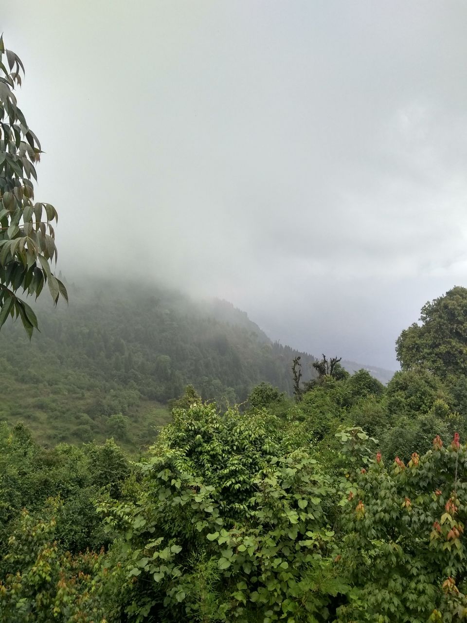 Photo of Sikkim Diaries.. by Rishabh Jaiswal