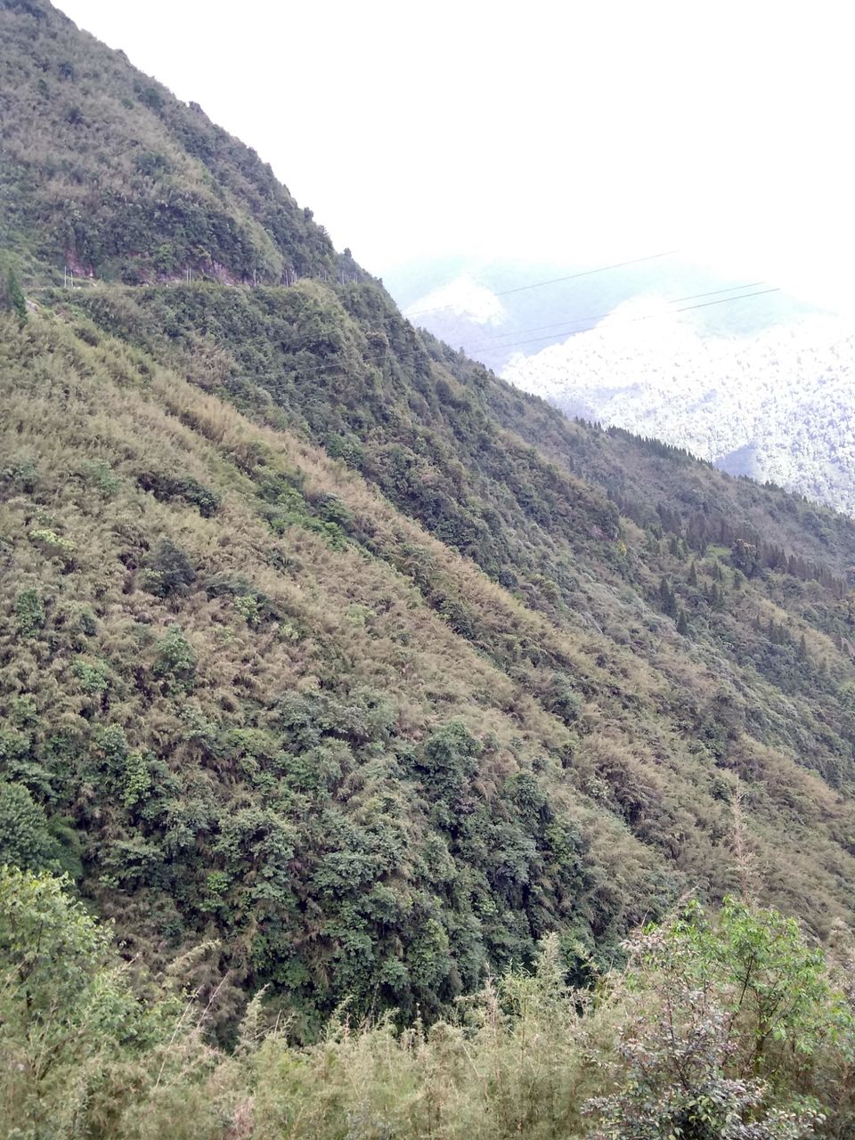 Photo of Sikkim Diaries.. by Rishabh Jaiswal