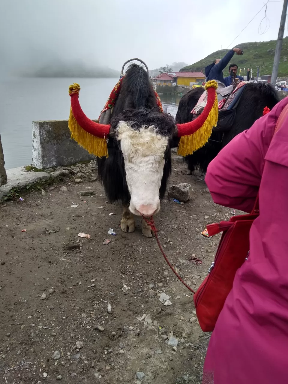 Photo of Gangtok, Sikkim, India by Rishabh Jaiswal