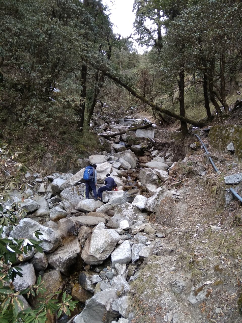 Photo of BrahmTal trek with 12 strong Buddy Doctors by Anil T Jadhav