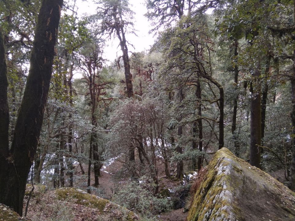 Photo of BrahmTal trek with 12 strong Buddy Doctors by Anil T Jadhav