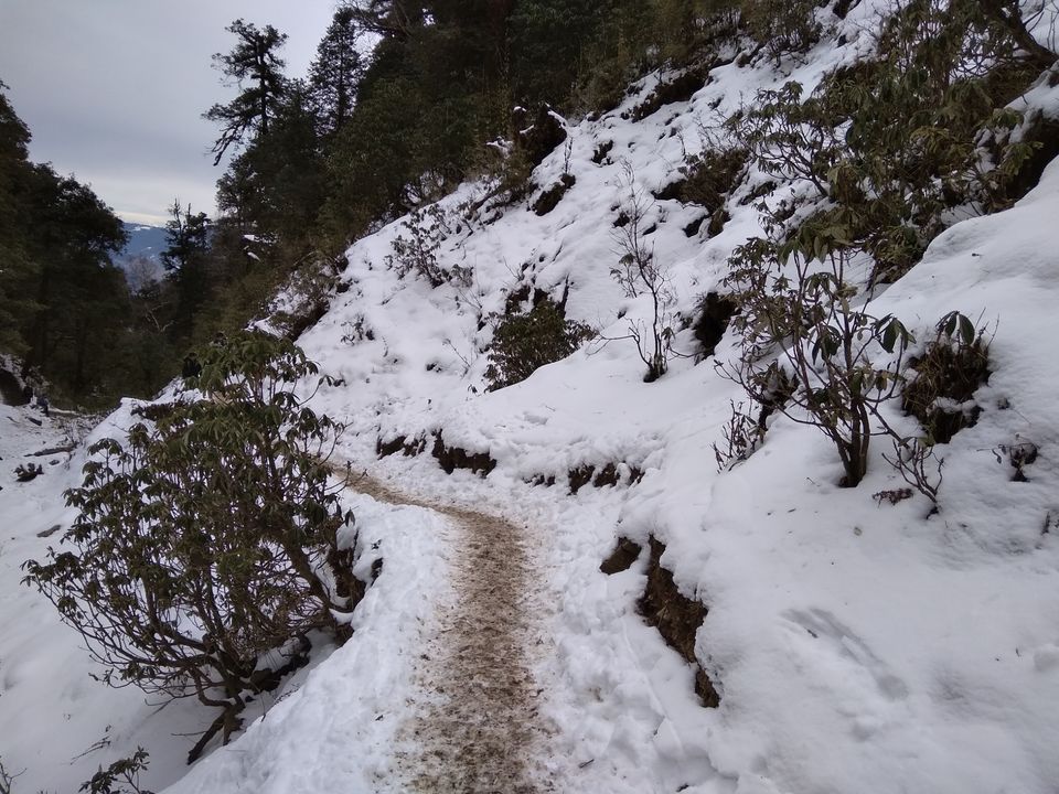 Photo of BrahmTal trek with 12 strong Buddy Doctors by Anil T Jadhav