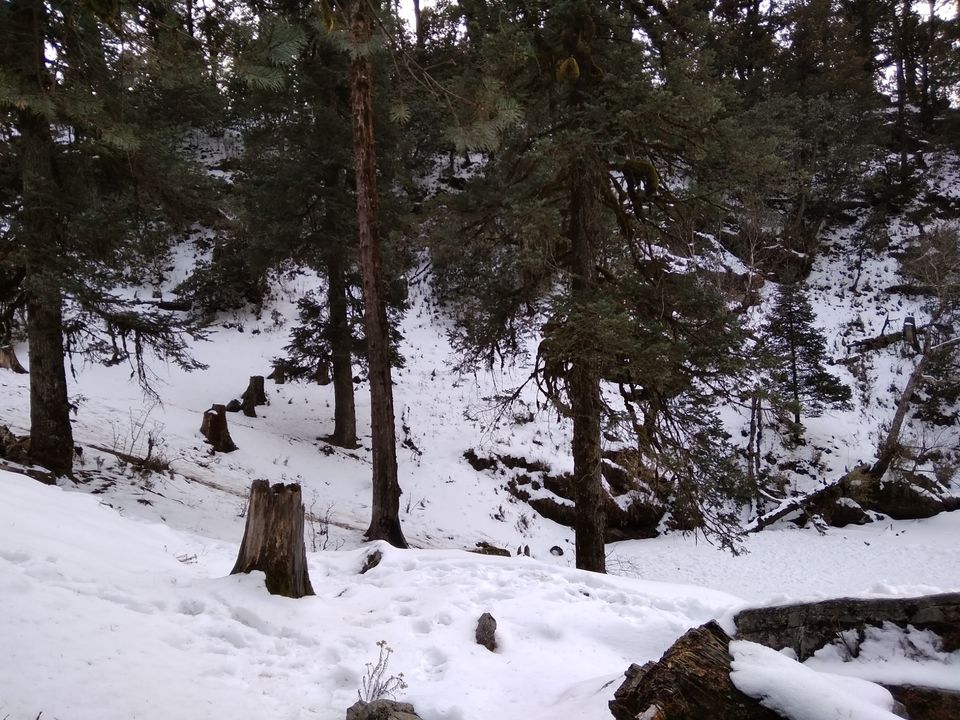 Photo of BrahmTal trek with 12 strong Buddy Doctors by Anil T Jadhav