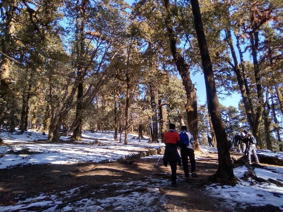 Photo of BrahmTal trek with 12 strong Buddy Doctors by Anil T Jadhav