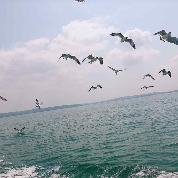 Photo of My trip to Goa 8/10 by POOJA YADAV