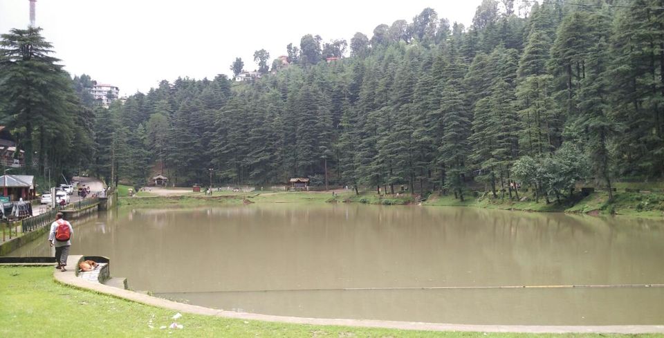 Photo of McLeod Ganj, Dharamshala, Himachal Pradesh, India by POOJA YADAV