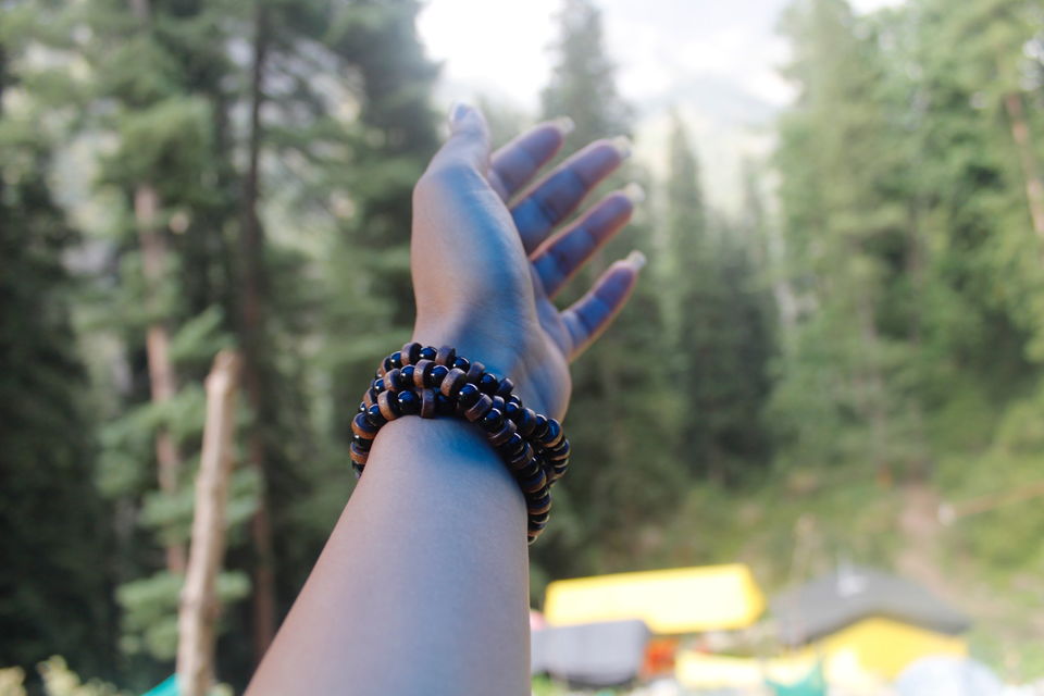 Photo of A trip to Kasol and Khirganga by POOJA YADAV