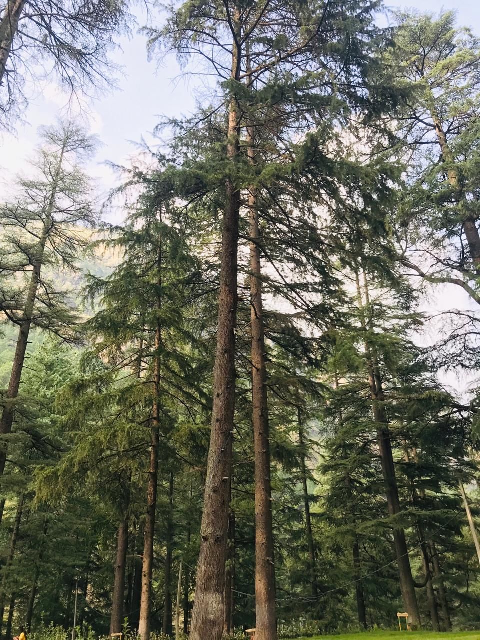 Photo of Kasol, Himachal Pradesh, India by POOJA YADAV
