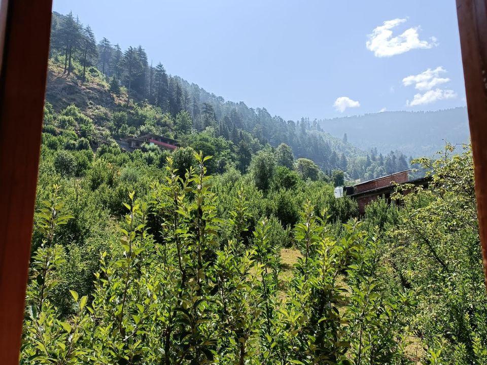 Photo of NAGGAR: AMIDST APPLE ORCHARD by POOJA YADAV