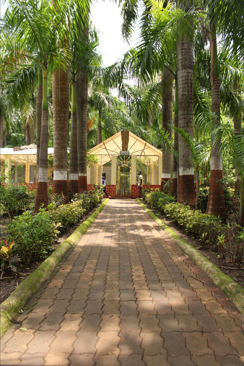 Photo of Saputara, Gujarat, India by DVD