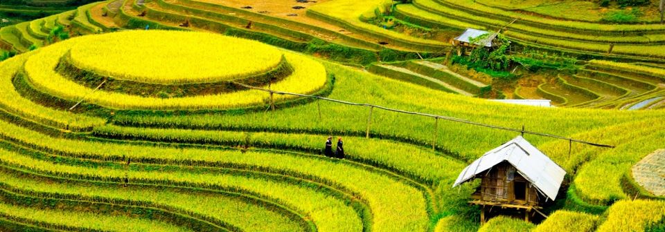 Photo of 5 Volunteering Opportunities, 5 Asian Countries, Countless Lives Changed 6/8 by Akshit Aggarwal