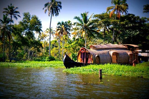 Photo of Kerala - all about luxurious stay in Munnar by Preet