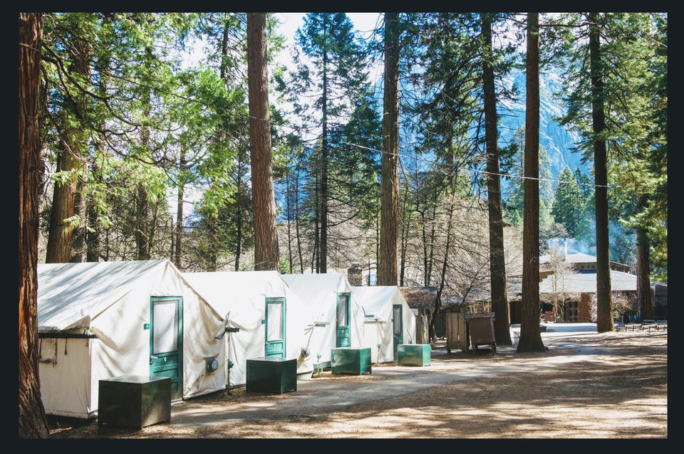 Photo of Yosemite and Sequoia Trip by Jyotirmaya Meher