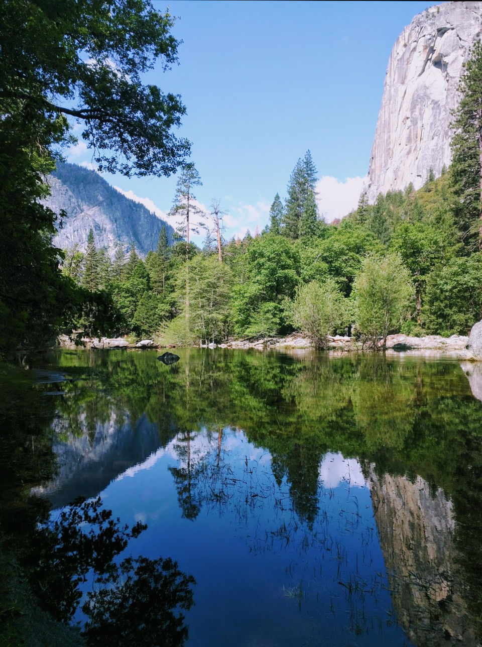 Photo of Yosemite and Sequoia Trip by Jyotirmaya Meher