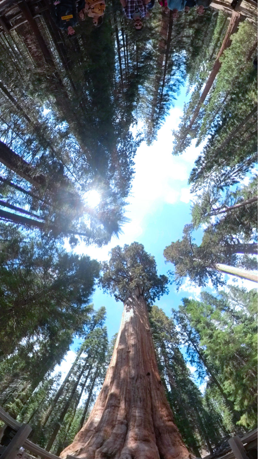 Photo of Yosemite and Sequoia Trip by Jyotirmaya Meher