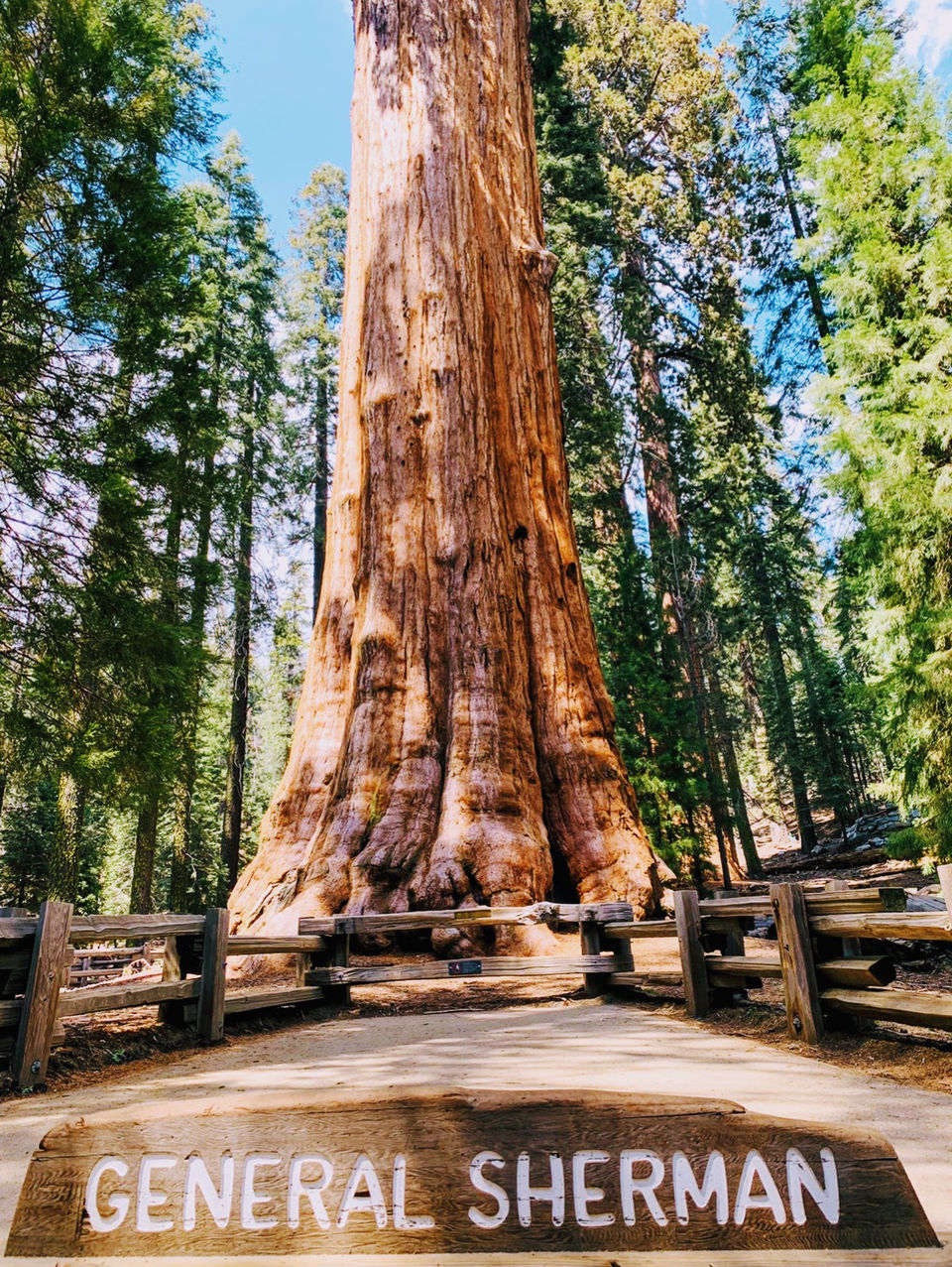 Photo of Yosemite and Sequoia Trip by Jyotirmaya Meher