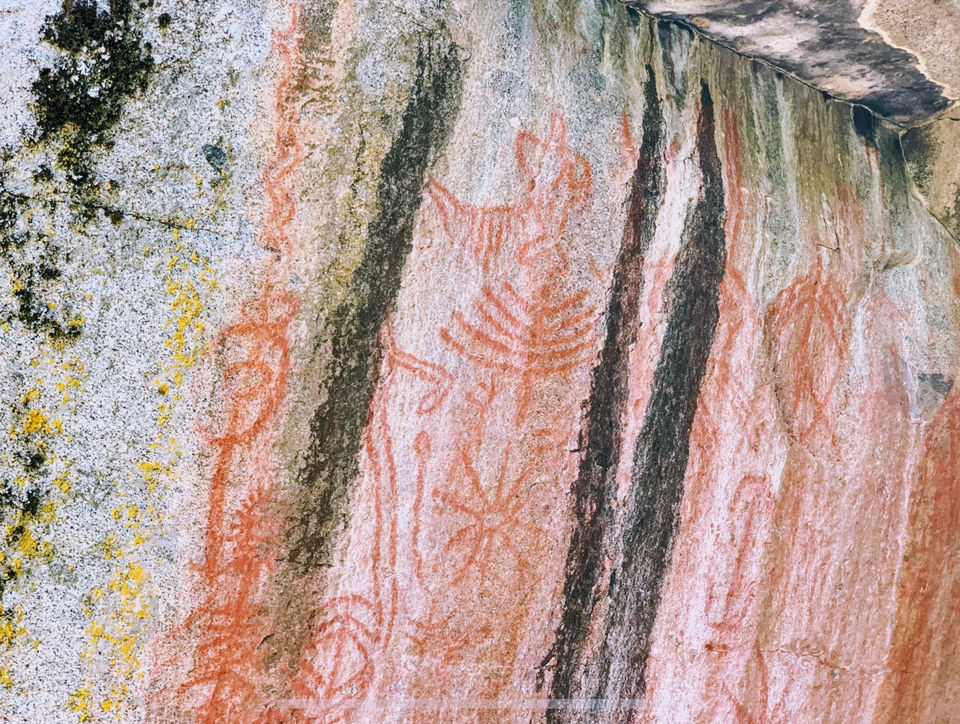 Photo of Yosemite and Sequoia Trip by Jyotirmaya Meher
