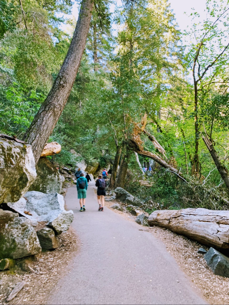 Photo of Yosemite and Sequoia Trip by Jyotirmaya Meher