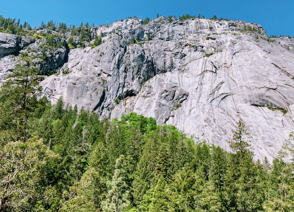 Photo of Yosemite and Sequoia Trip by Jyotirmaya Meher